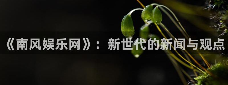 新宝gg注册：《南风娱乐网》：新世代的新闻与观点
