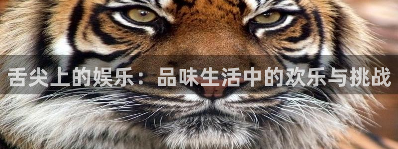 新宝gg在线注册：舌尖上的娱乐：品味生活中的欢乐与挑战