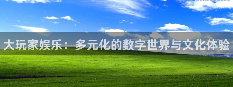 新宝5登录手机版：大玩家娱乐：多元化的数字世界与文化体验
