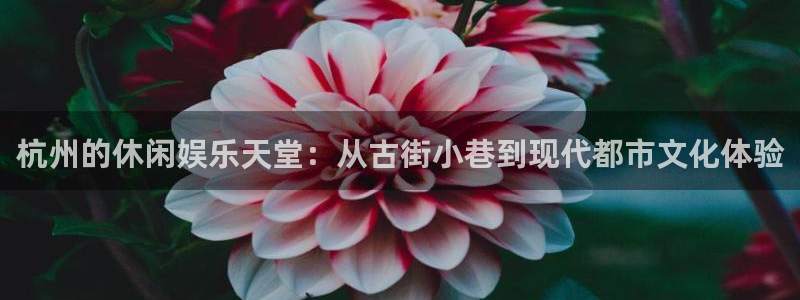 新宝gg在线注册：杭州的休闲娱乐天堂：从古街小巷到现代都市文化体验